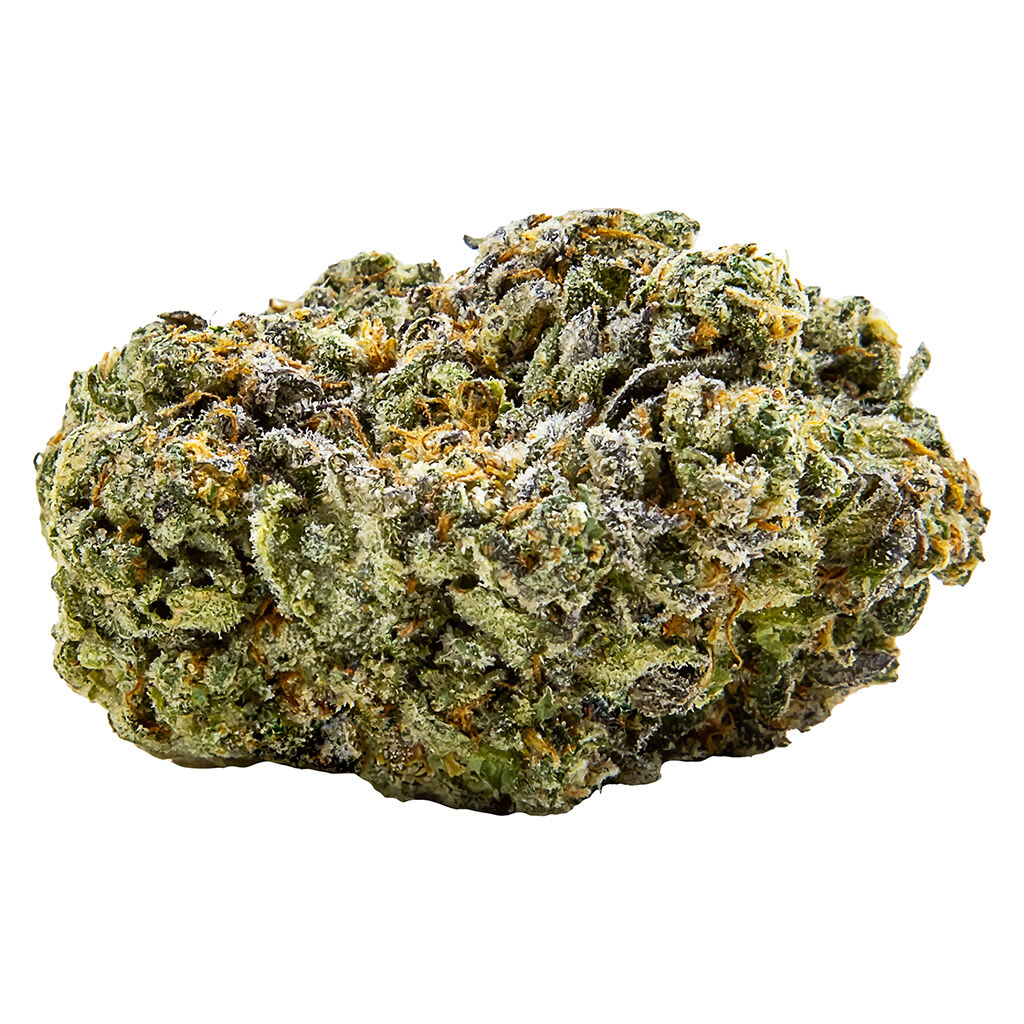 Jack Herer Jamboree Budskis 3.5g (4.2% Terps.)